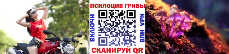 Псилоцибиновые грибы прущие грибы  Суровикино 